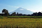 Sempat Keluarkan Hujan Abu, Status Merapi Masih Normal